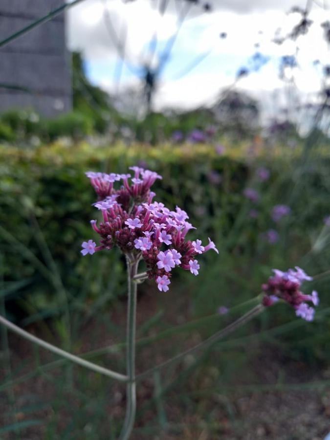 罗贝尔维尔Le Jardin Des Fagnes别墅 外观 照片